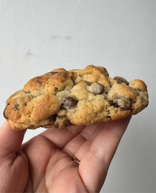 Milk chocolate walnut